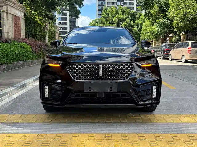 WEI PAI WEI BRAND VV7