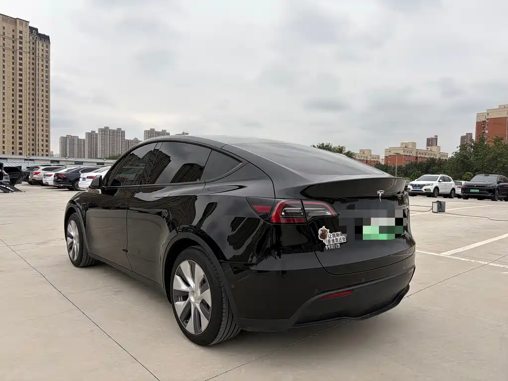 Tesla Model Y — миниатюра 4