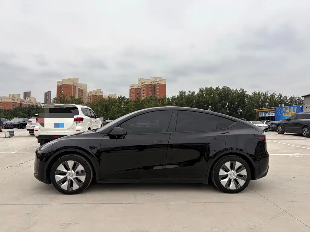 Tesla Model Y — миниатюра 3