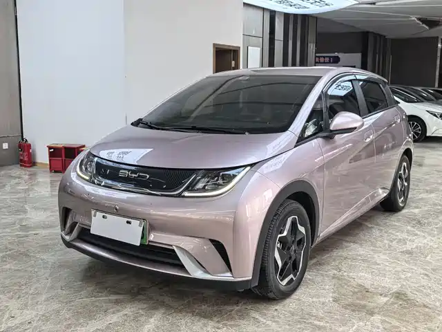 2023 BYD Dolphin