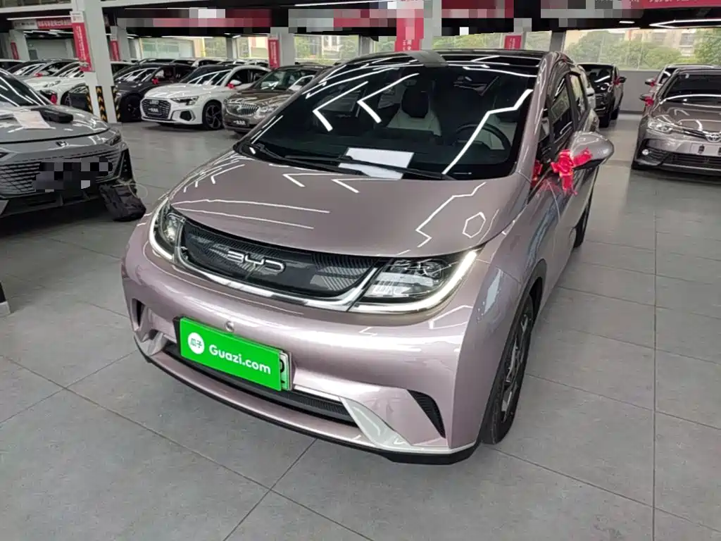 BYD Dolphin - фото 2
