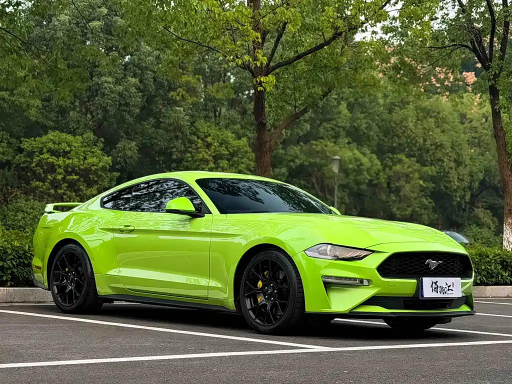 Ford Mustang — миниатюра 3