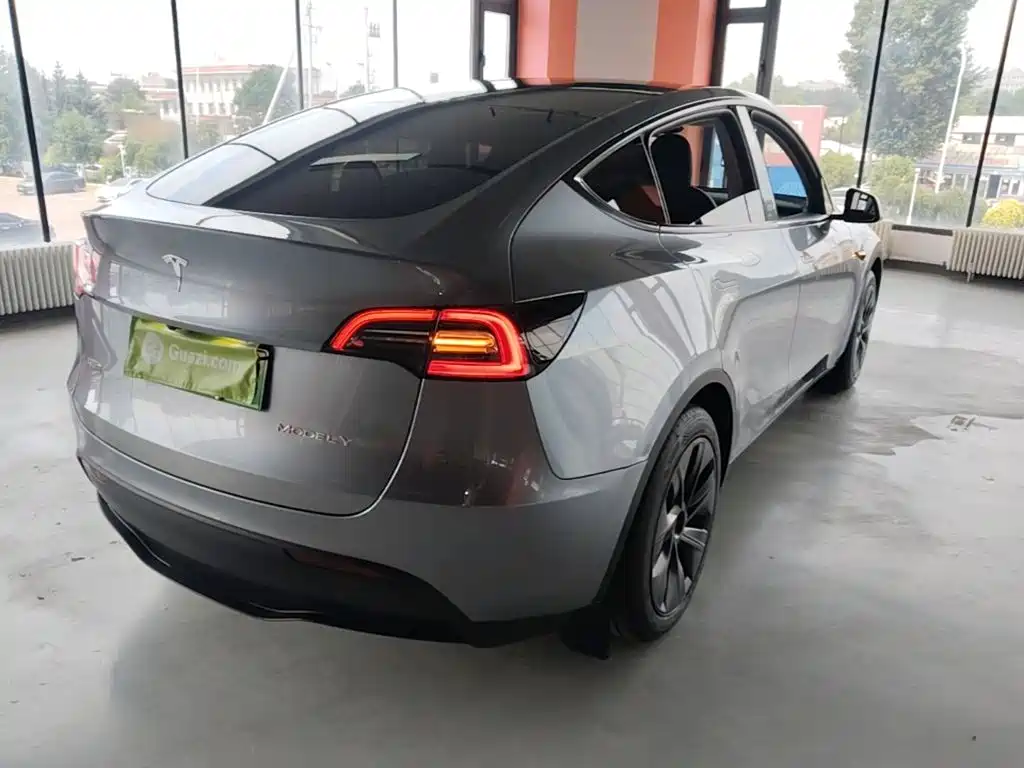 Tesla Model Y — миниатюра 7