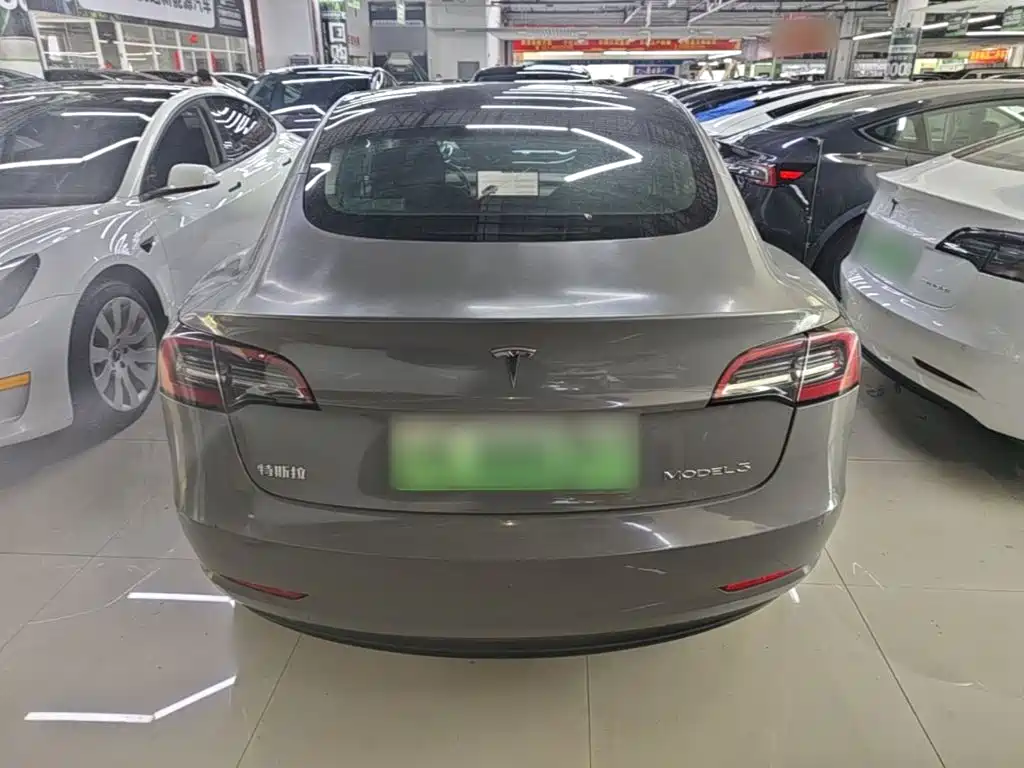 Tesla Model 3 2021 3D6