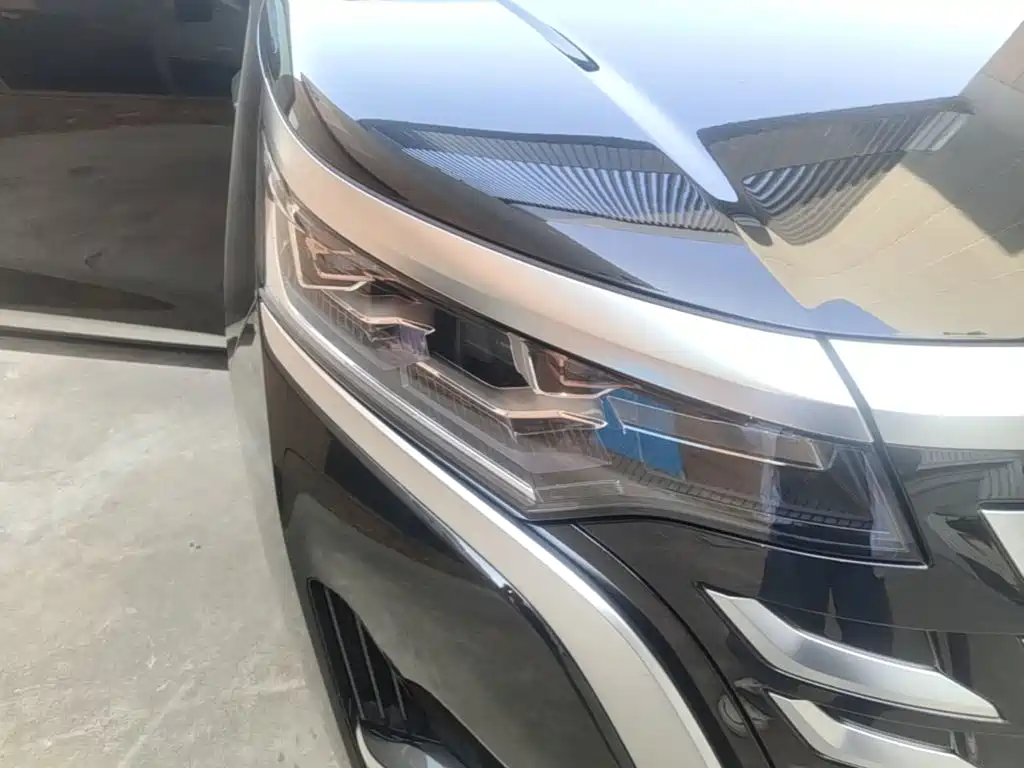 Denza Denza D9 — миниатюра 11