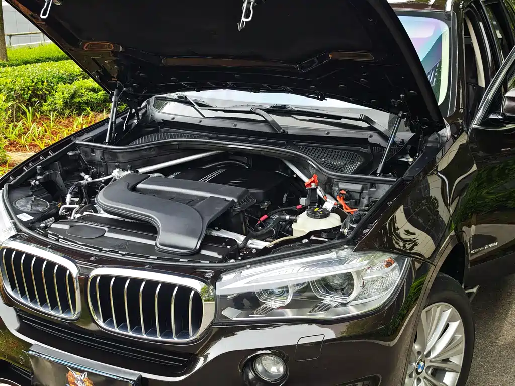 BMW X5 (Import) — миниатюра 8