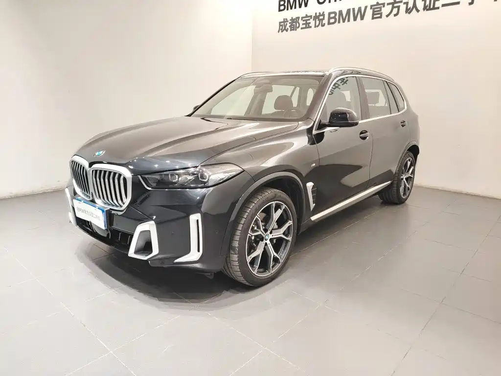 BMW X5 — миниатюра 11