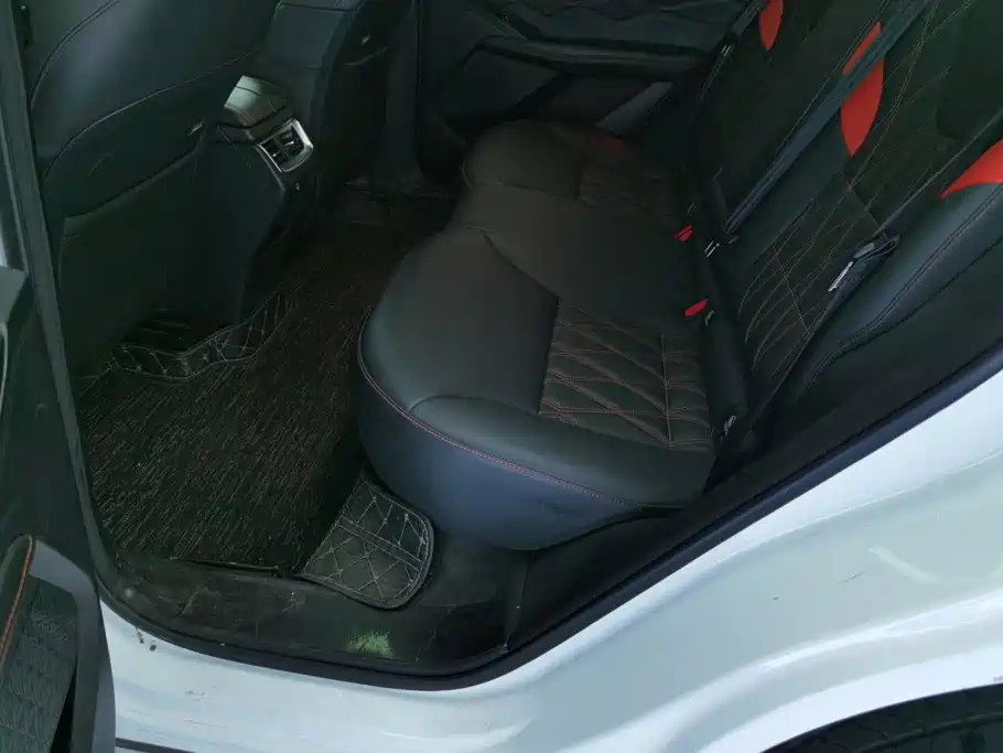 Haval Shenshou — миниатюра 11