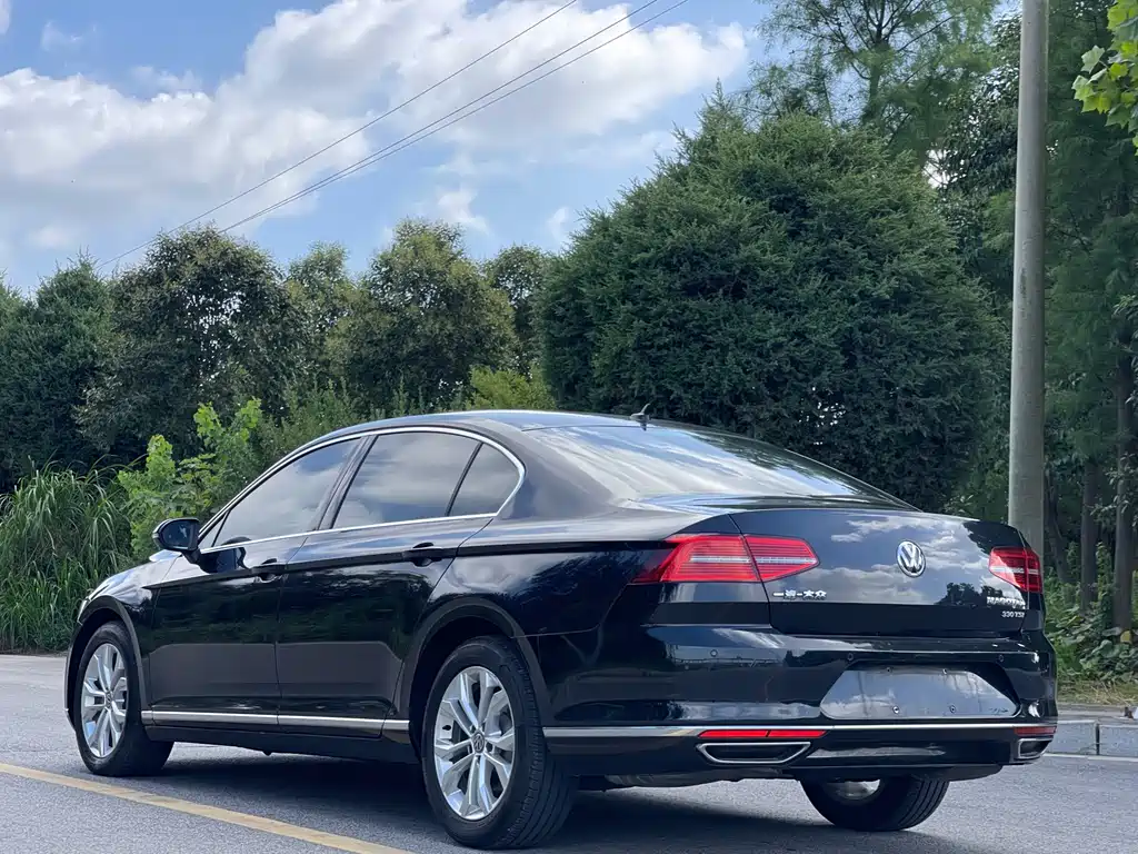 Volkswagen Magotan 2019 330TSI DSG Luxury VI