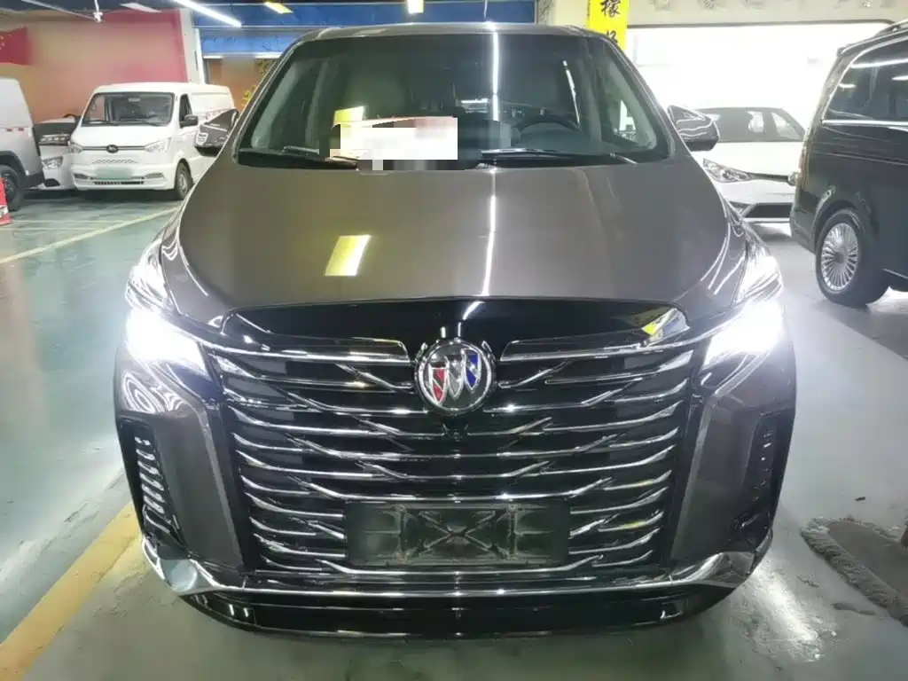 Buick GL8 — миниатюра 3
