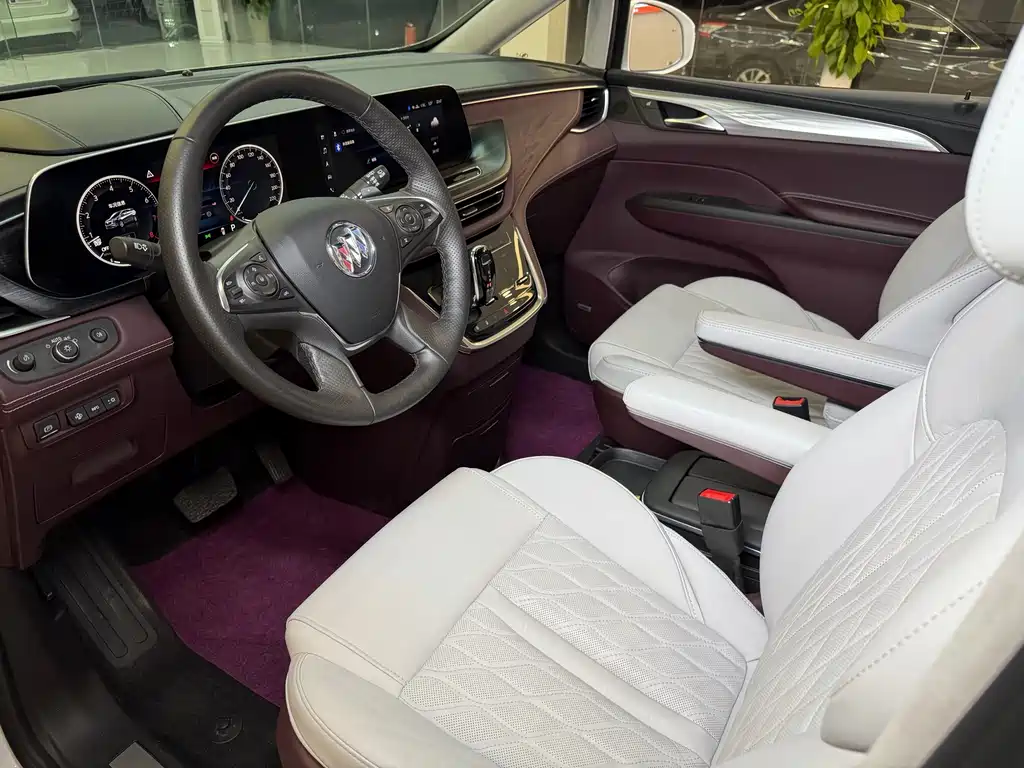 Buick GL8 — миниатюра 8