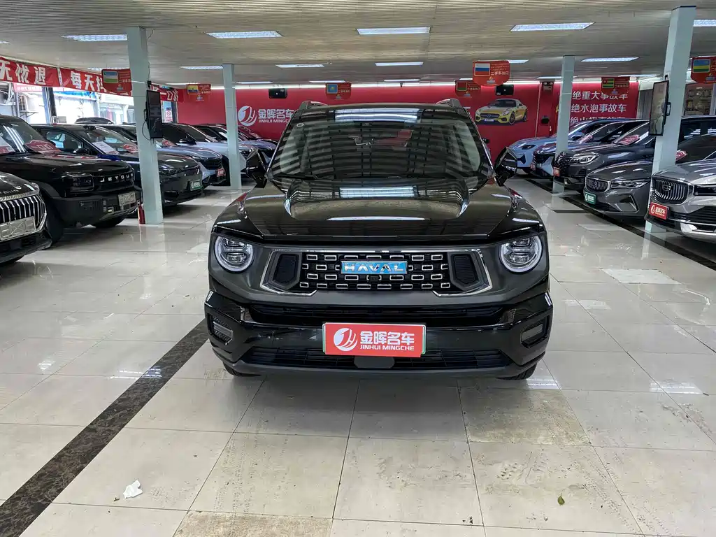 HAVAL  SECOND GENERATION BIG DOG NEW ENERGY