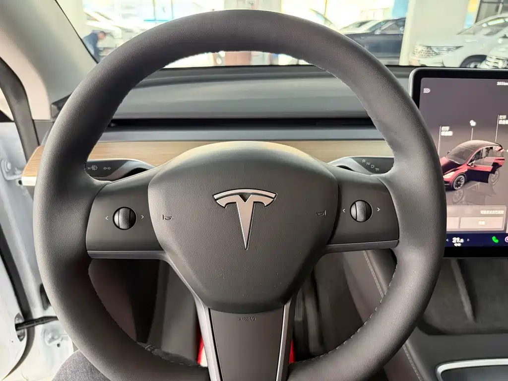 Tesla Model Y — миниатюра 15