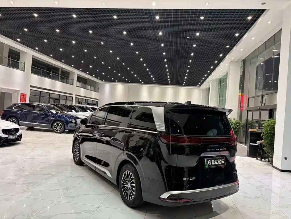 Denza Denza D9 — миниатюра 17