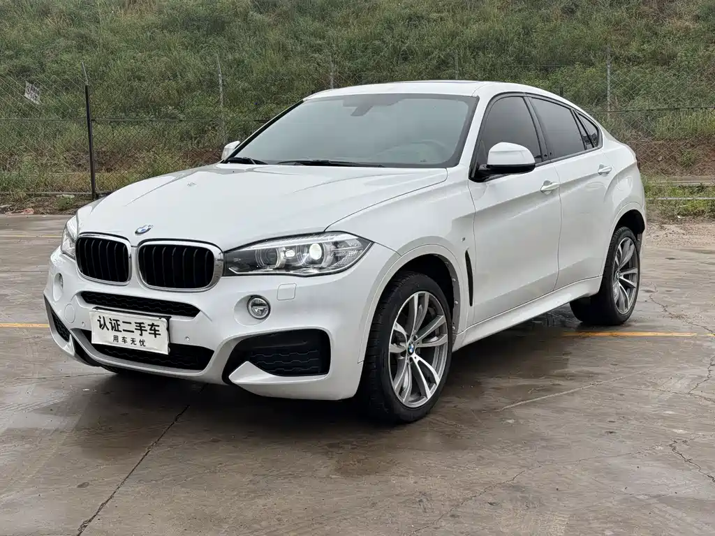 BMW X6 2019