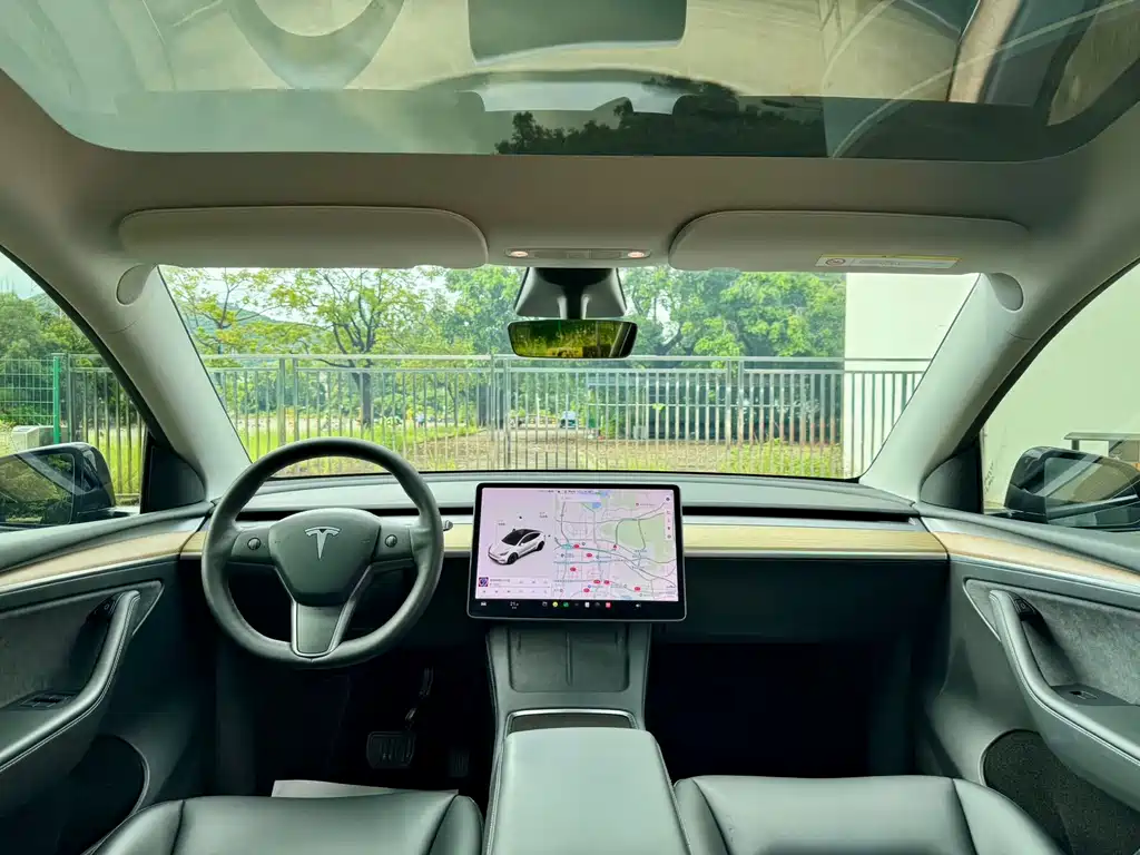 Tesla Model Y — миниатюра 7