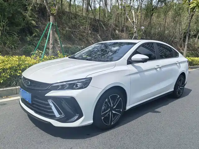 2024 Geely Binrui