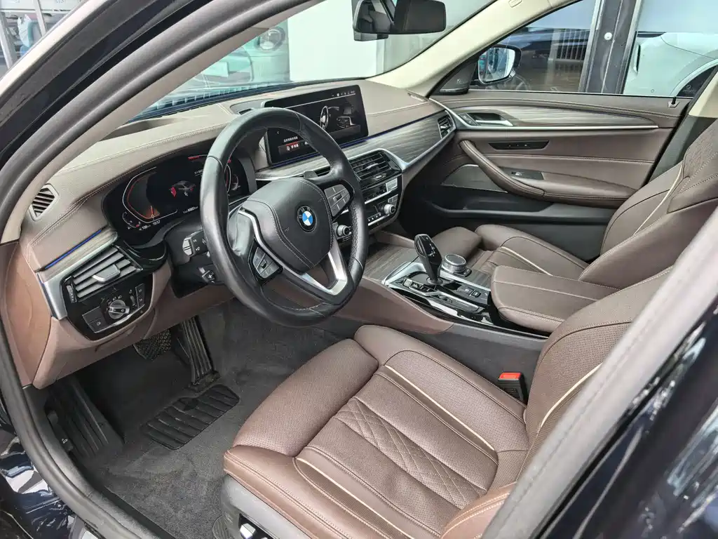 BMW 5 Series 5 2021 530Li Premium Luxury