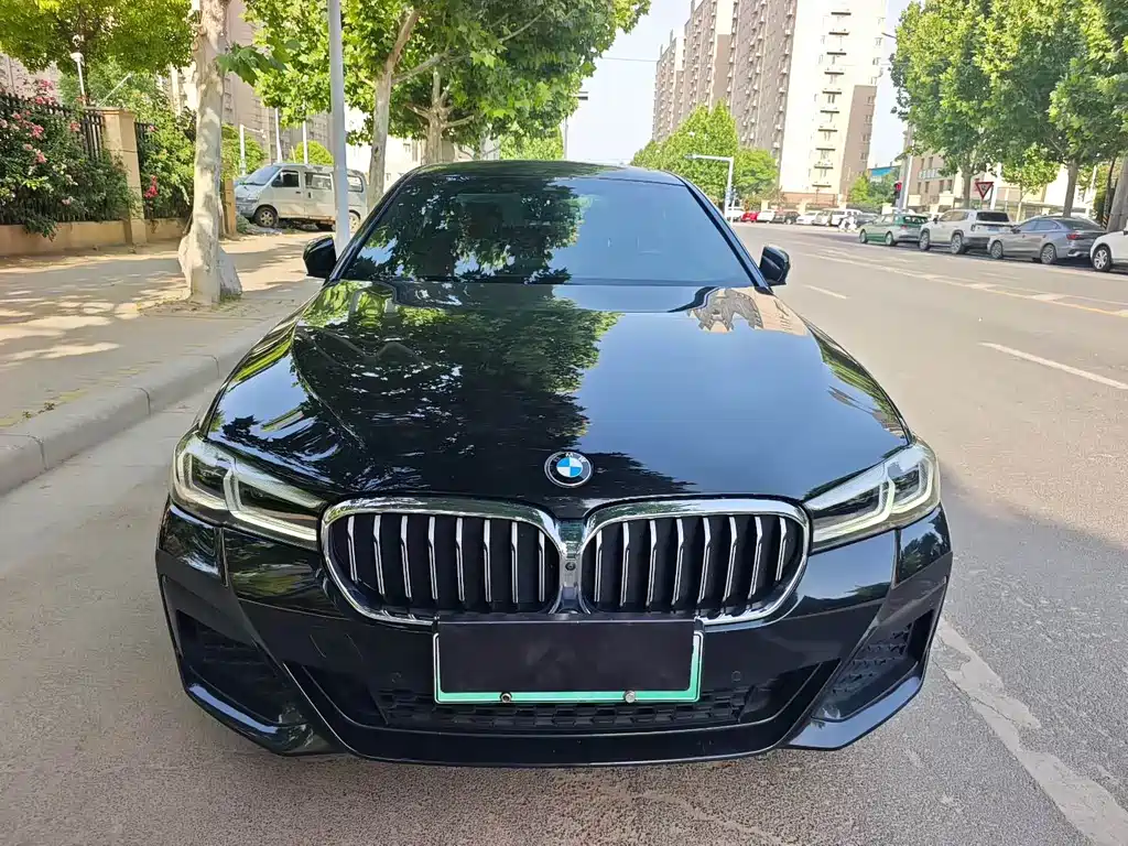 BMW 5 Series New Energy 2021