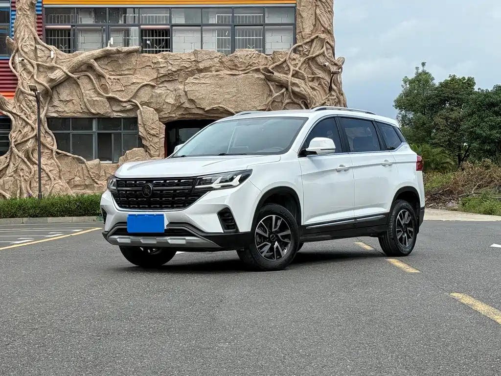 Fengxing Fengxing T5 2022