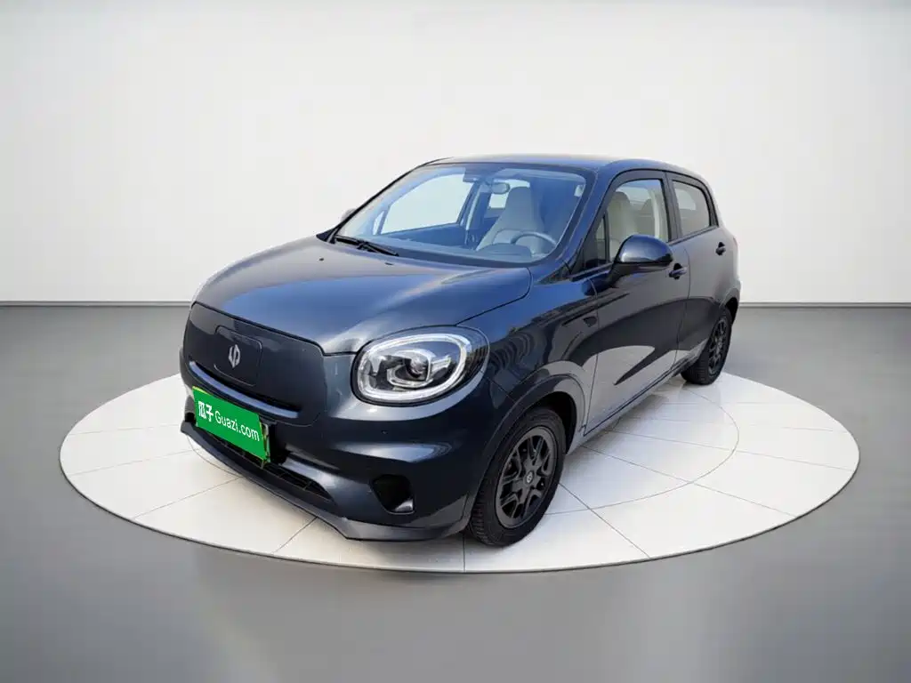 Leapmotor T03 2023 310