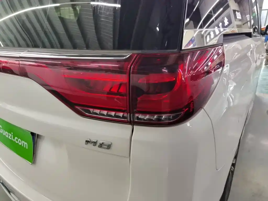 GAC Motor Trumpchi M8 — миниатюра 8