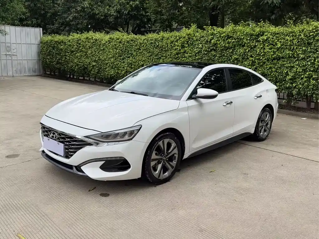 Hyundai Fista — миниатюра 2