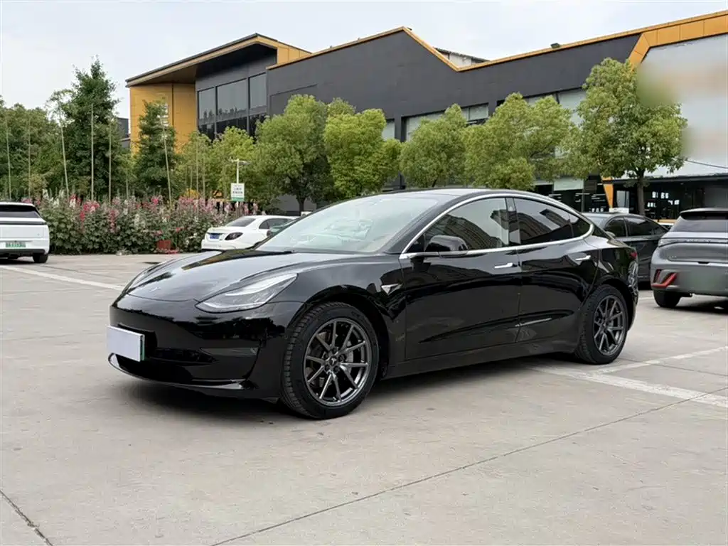 Tesla Model 3 2019