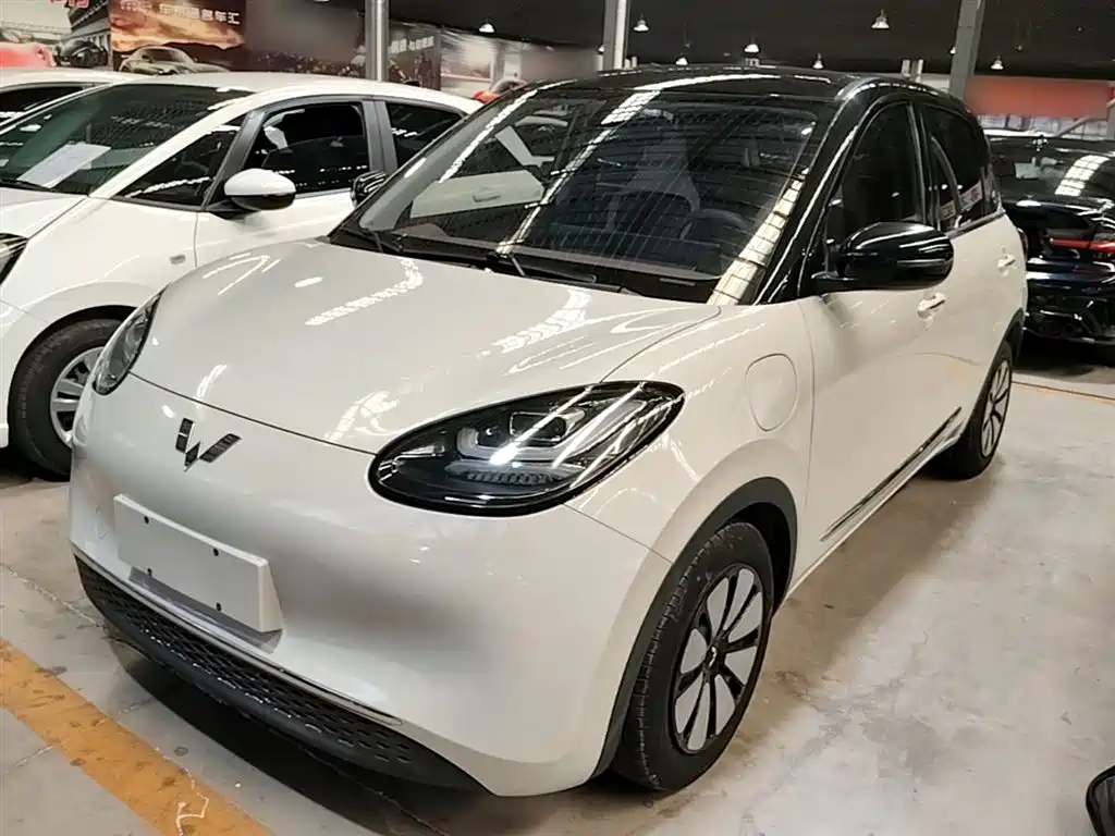Wuling Binguo 2023 333km