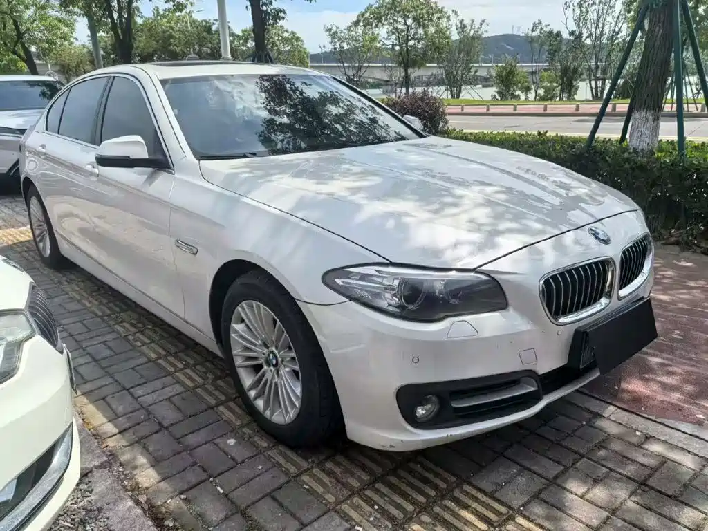 BMW 5 Series 5 2014 525Li Lead