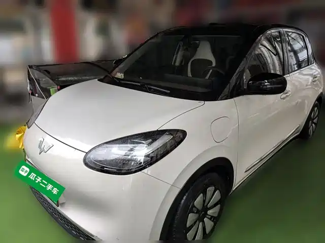 2024 Wuling Motors Binguo