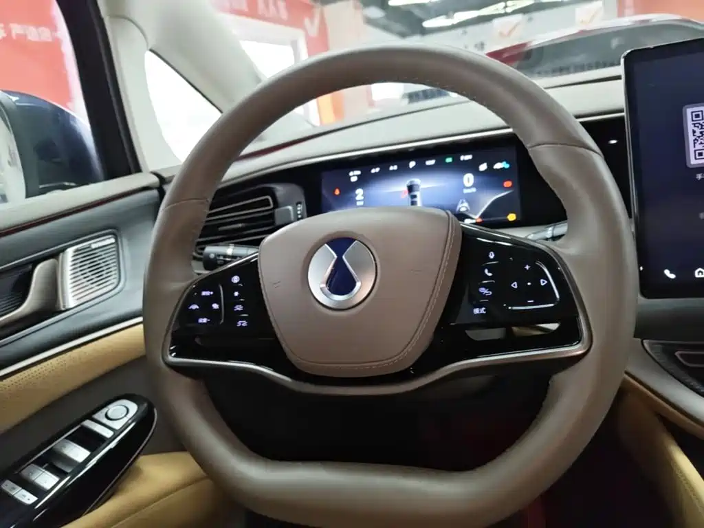 Denza Denza D9 — миниатюра 11