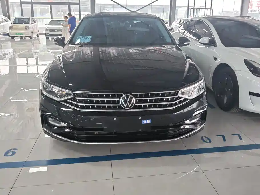 Volkswagen Magotan — миниатюра 2
