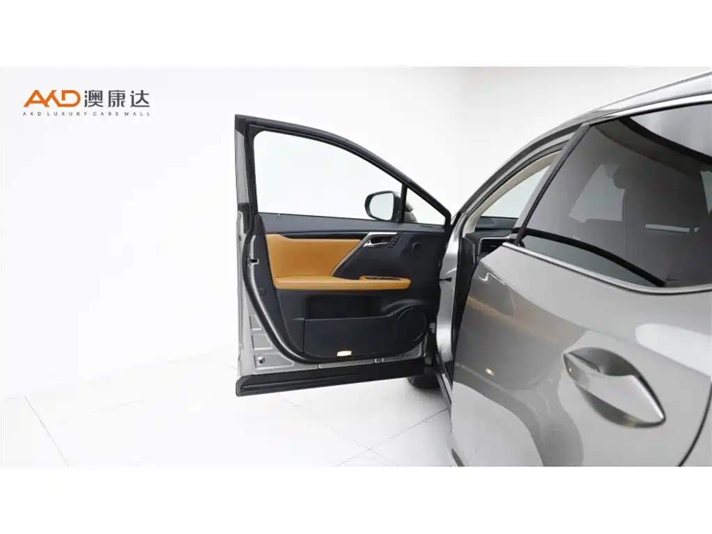 Lexus RX 2020 300 Elegant VI