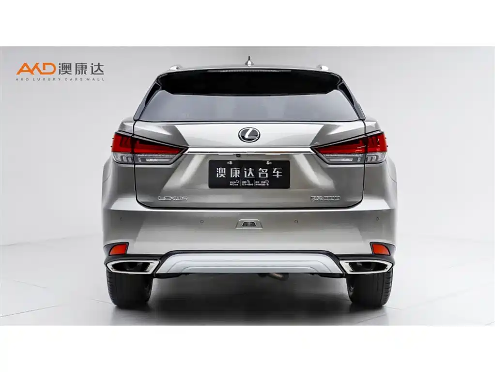 Lexus RX 2020 300 Elegant VI
