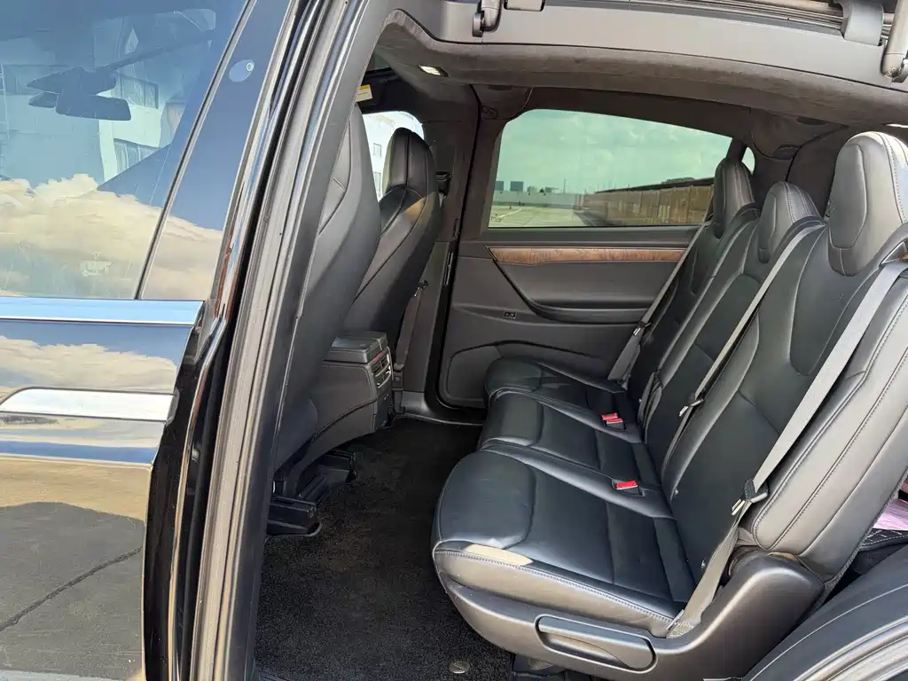 Tesla Model X — миниатюра 13