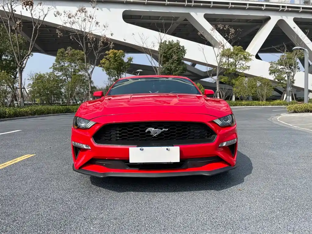 FORD MUSTANG