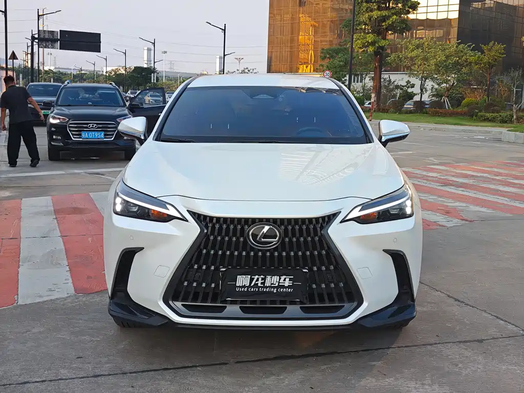 Lexus NX — миниатюра 2