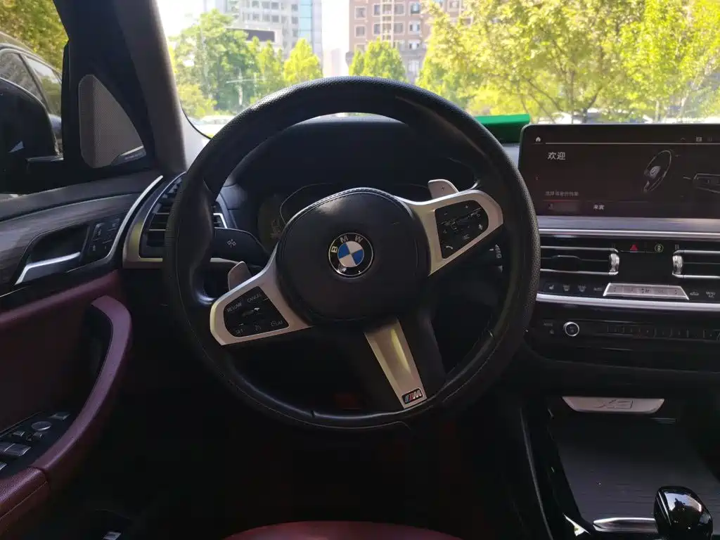 BMW X3 2022 xDrive30i Lead M