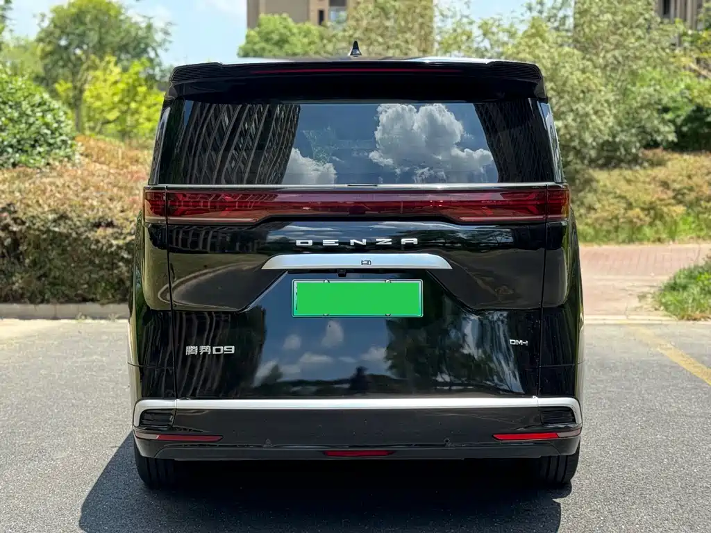 Denza Denza D9 — миниатюра 4