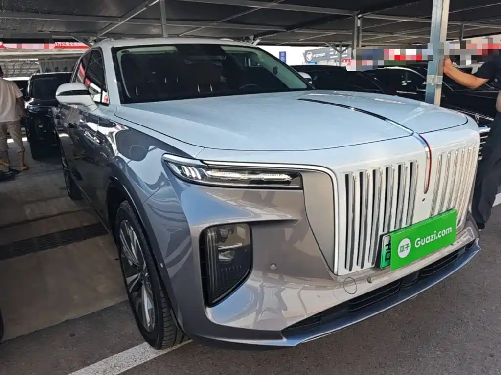 Hongqi Hongqi E-HS9 — миниатюра 4