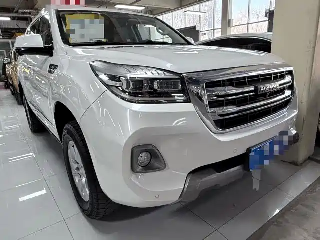 HAVAL H9