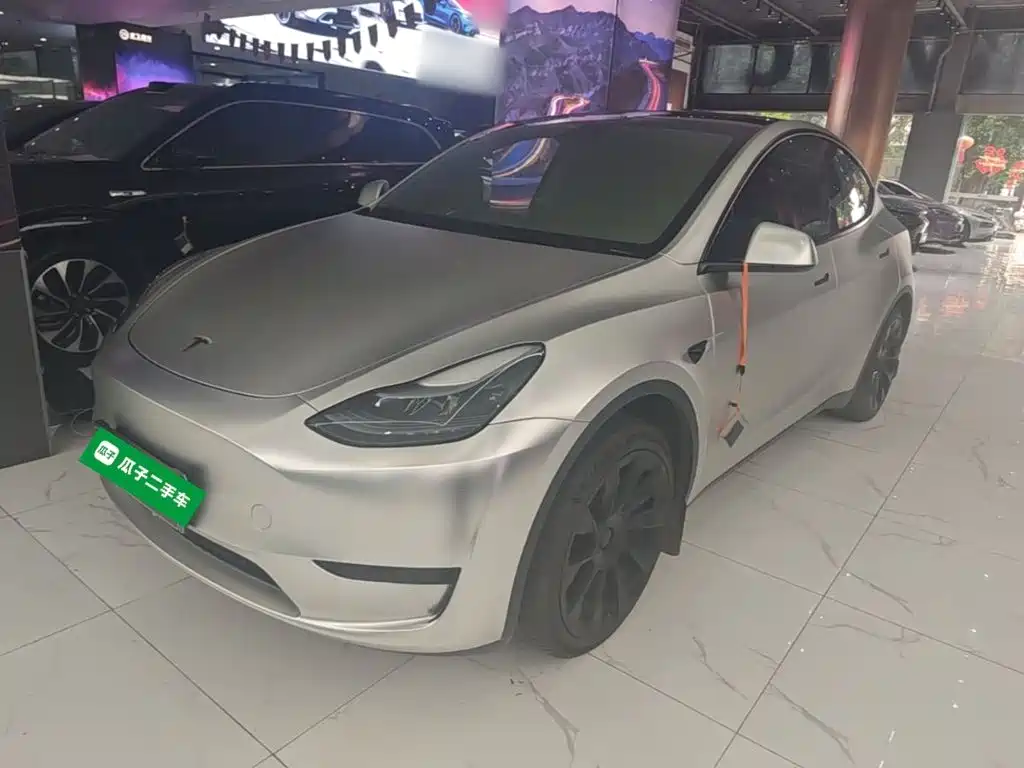 Tesla Model Y — миниатюра 2