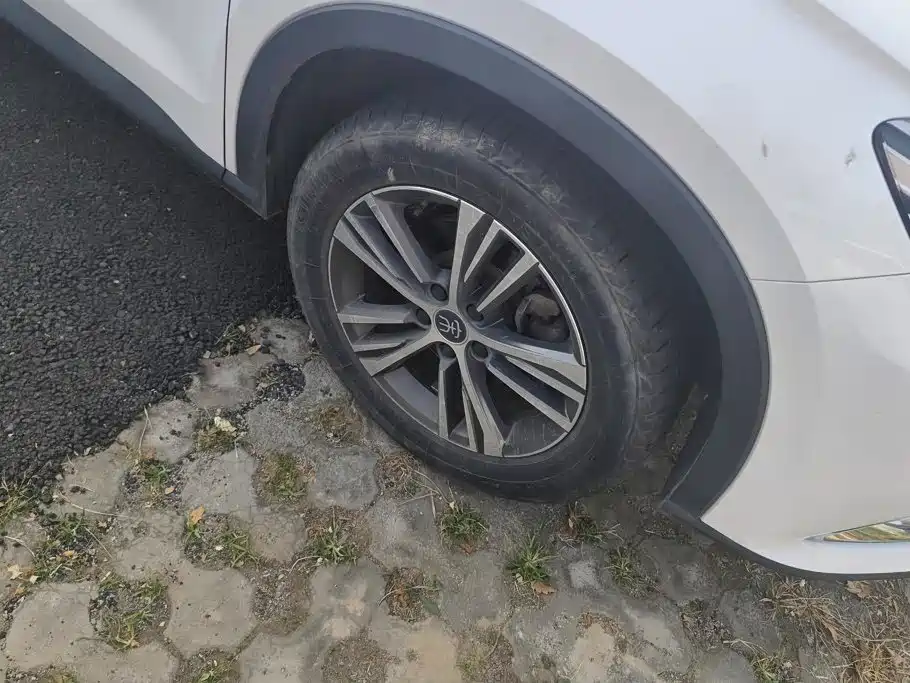 BYD Pro — миниатюра 6