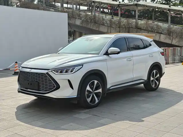 BYD SONGJIANG NEW ENERGY 2021