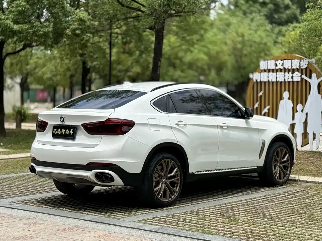 BMW X6 2017 xDrive35i Luxury