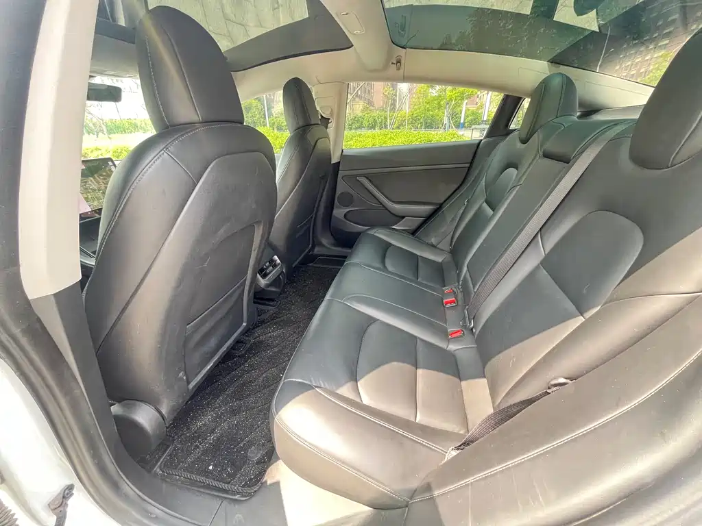 Tesla Model 3 2021 3D6