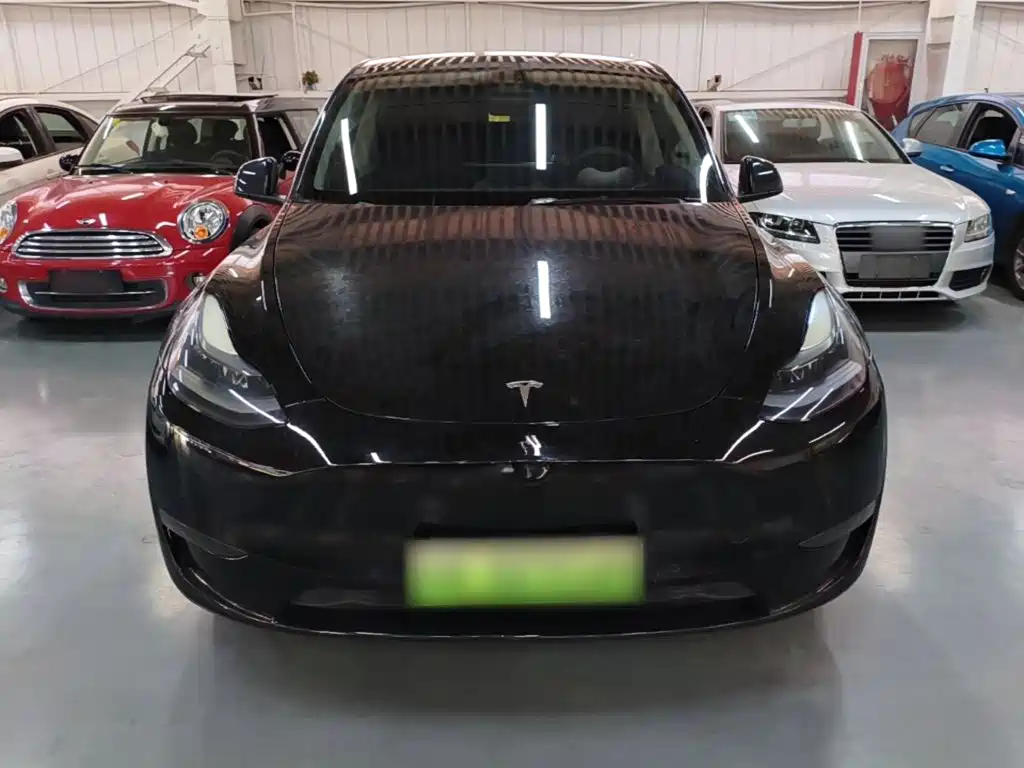 Tesla Model Y — миниатюра 3