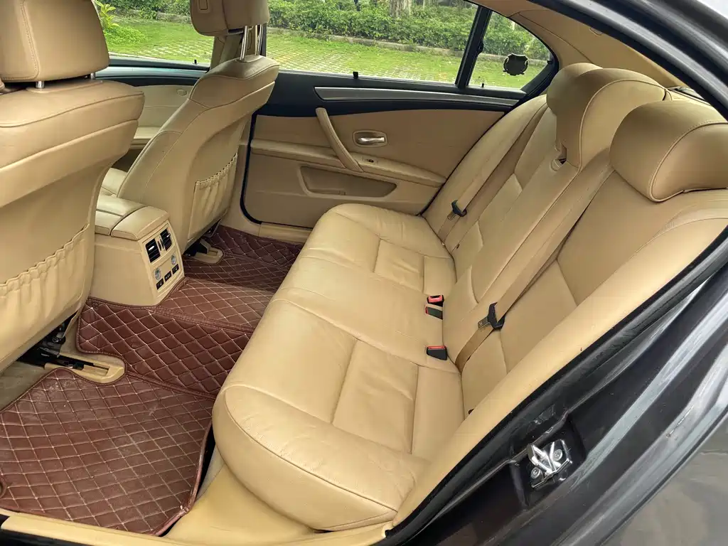 BMW 5 Series 5 2009 523Li Lead