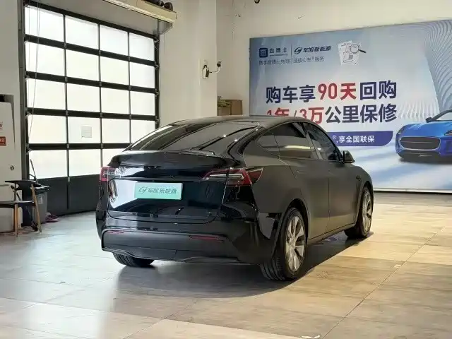 Tesla Model Y — миниатюра 7